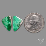 Lucin Variscites Pair