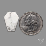 Howlite Coffin Carving