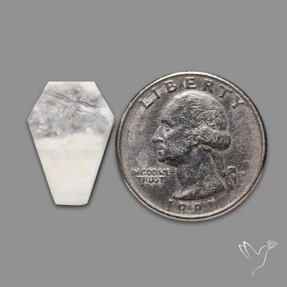 Howlite Coffin Carving