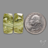 Serpentines Pair