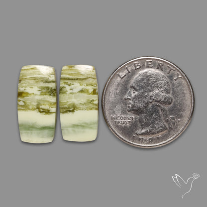 Serpentines Pair
