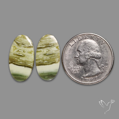Serpentines Pair