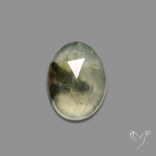 Rose Cut Black Tourmalinated Prehnite