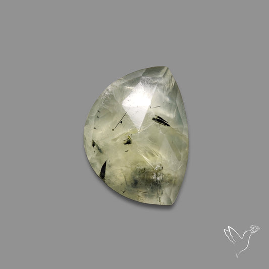 Rose Cut Black Tourmalinated Prehnite