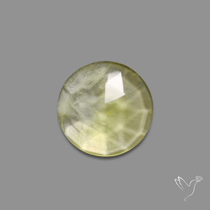 Rose Cut Black Tourmalinated Prehnite