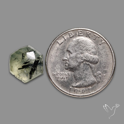 Rose Cut Black Tourmalinated Prehnite