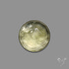 Rose Cut Black Tourmalinated Prehnite