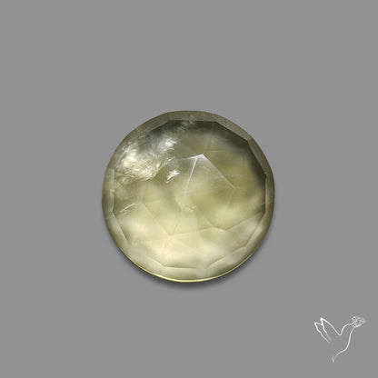 Rose Cut Black Tourmalinated Prehnite
