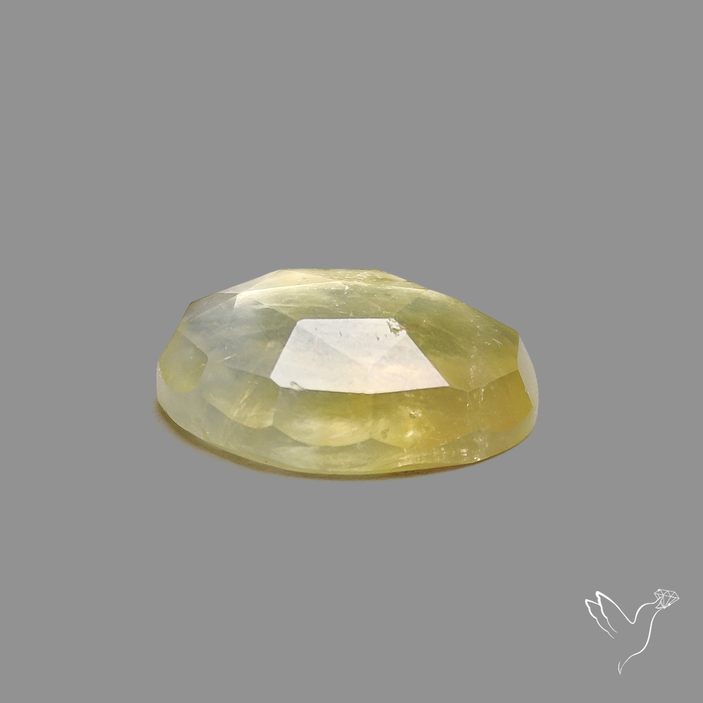 Rose Cut Black Tourmalinated Prehnite