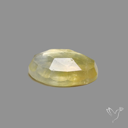 Rose Cut Black Tourmalinated Prehnite