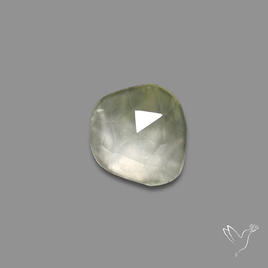 Rose Cut Black Tourmalinated Prehnite