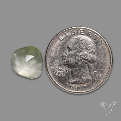 Rose Cut Black Tourmalinated Prehnite