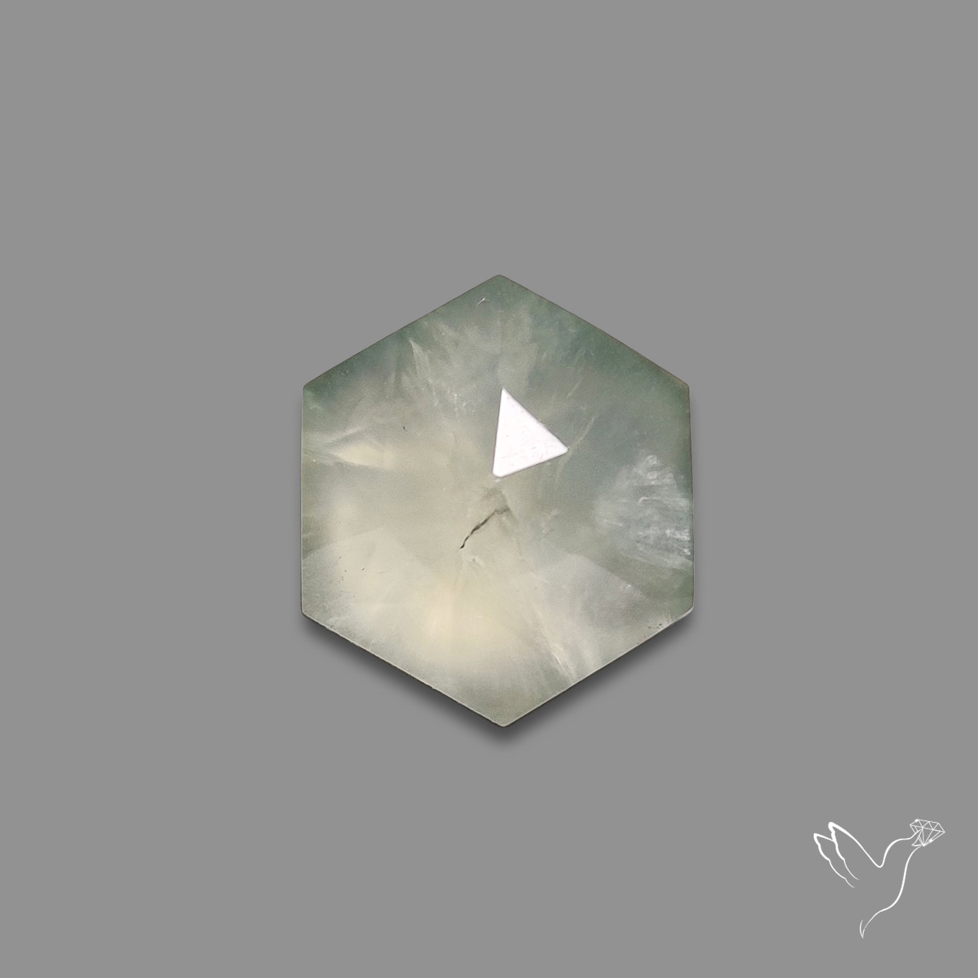 Rose Cut Black Tourmalinated Prehnite