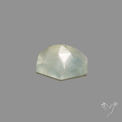 Rose Cut Black Tourmalinated Prehnite
