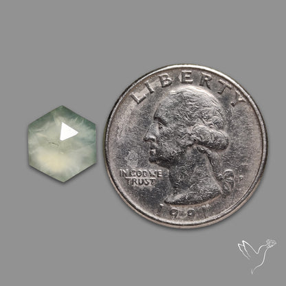 Rose Cut Black Tourmalinated Prehnite