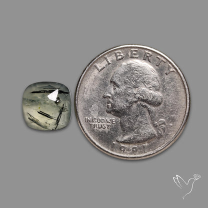 Rose Cut Black Tourmalinated Prehnite