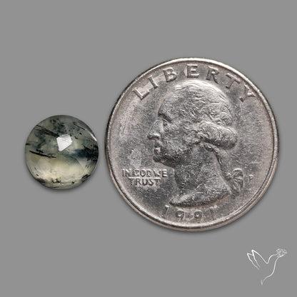 Rose Cut Black Tourmalinated Prehnite