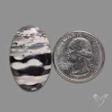 Porcelain Jasper Cabochon