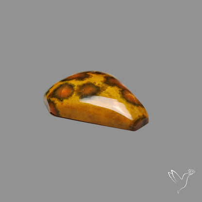 Orbicular Ocean Jasper Coffin Carving