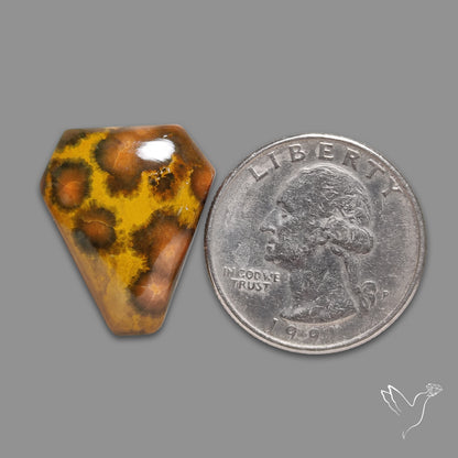 Orbicular Ocean Jasper Coffin Carving