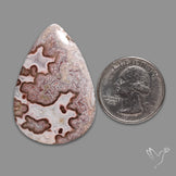 Snakeskin Jasper Cabochon