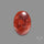 Red Petrified Wood Cabochon