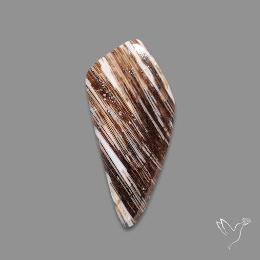 Feather Agate Cabochon