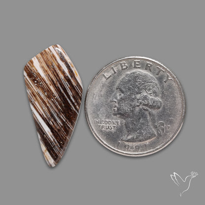 Feather Agate Cabochon