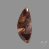 Arizona Petrified Wood Cabochon