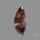 Arizona Petrified Wood Cabochon