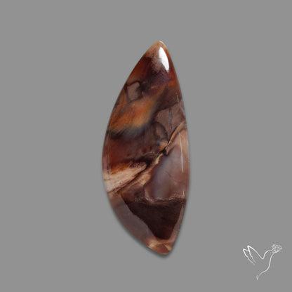 Arizona Petrified Wood Cabochon