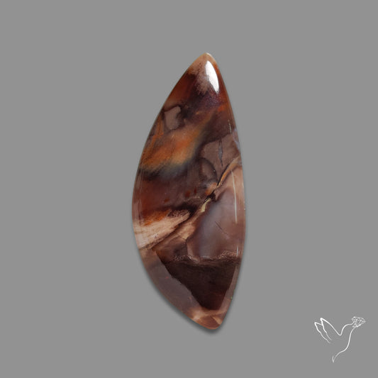 Arizona Petrified Wood Cabochon