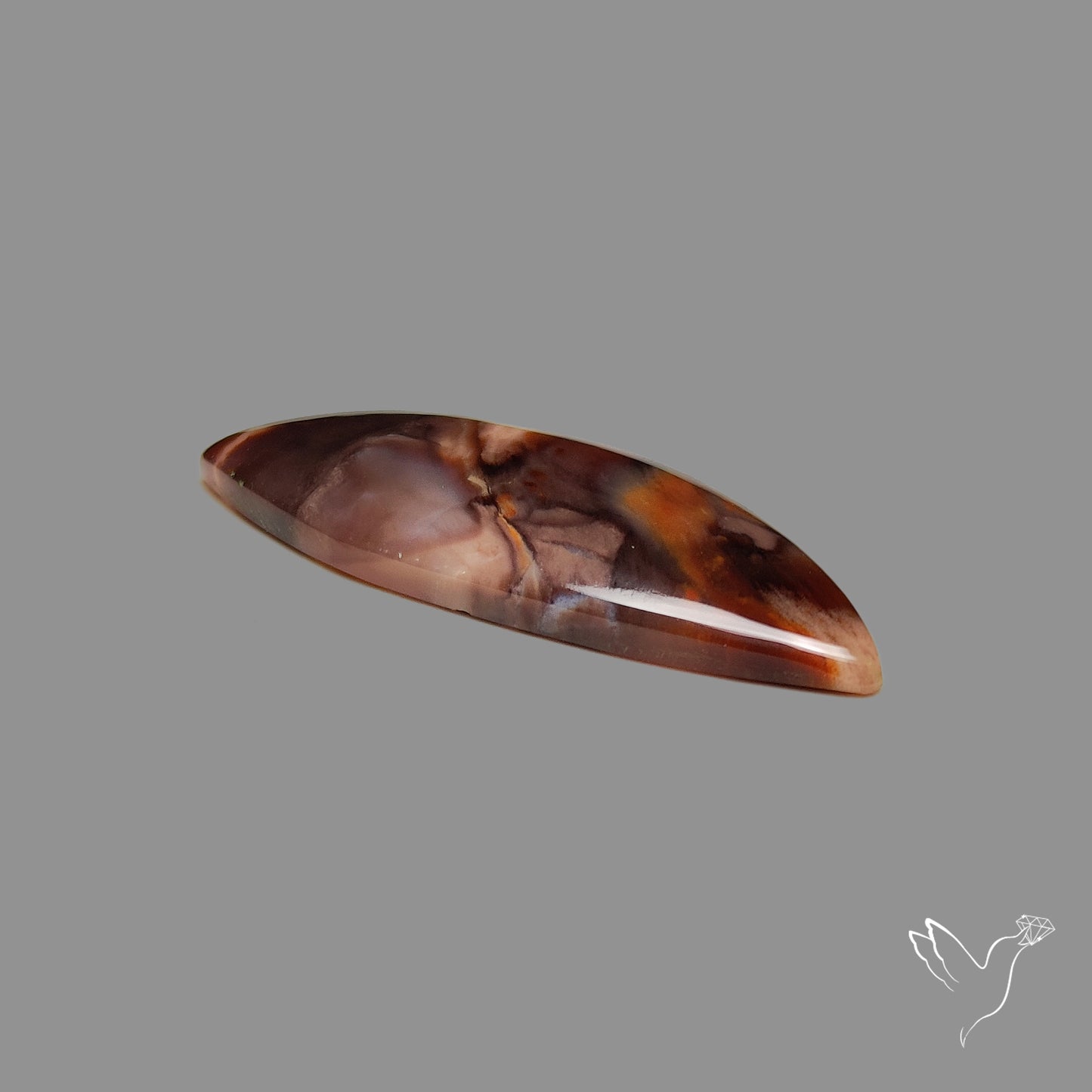 Arizona Petrified Wood Cabochon