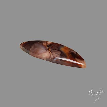 Arizona Petrified Wood Cabochon