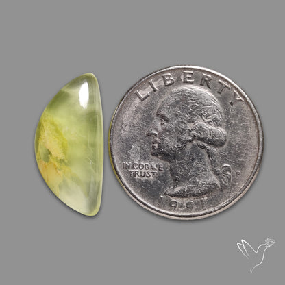 Prehnite Cabochon