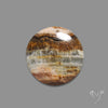 Lemurian Calcite Cabochon