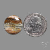 Lemurian Calcite Cabochon