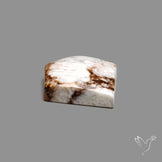 Wild Horse Jasper Cabochon