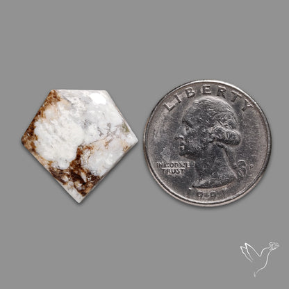 Wild Horse Jasper Cabochon
