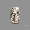 Orbicular Ocean Jasper Cabochon