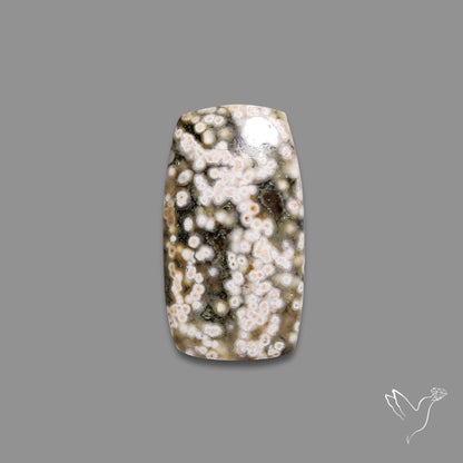 Orbicular Ocean Jasper Cabochon