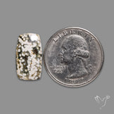 Orbicular Ocean Jasper Cabochon