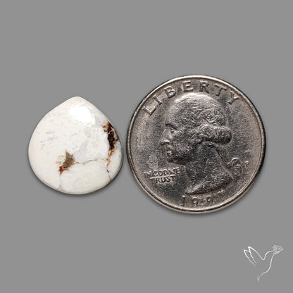 Wild Horse Jasper Cabochon
