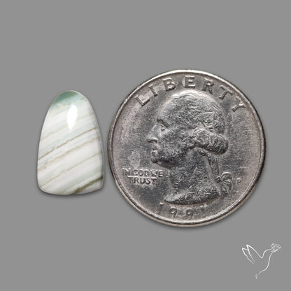 Saturn Chalcedony Cabochon
