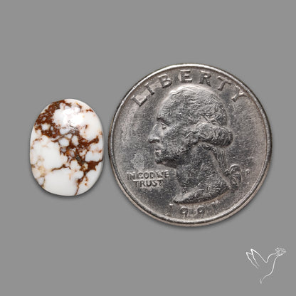 Wild Horse Jasper Cabochon