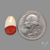 Rose Cut Mookaite
