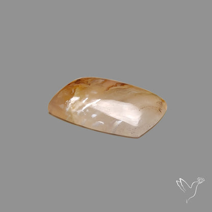 Plume Agate Cabochon
