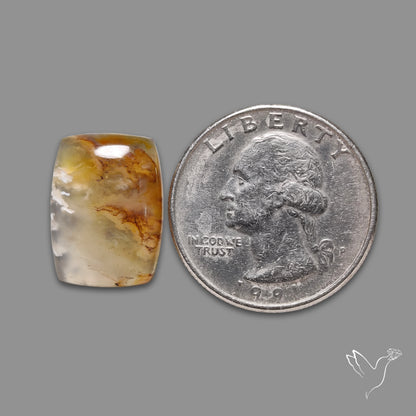 Plume Agate Cabochon