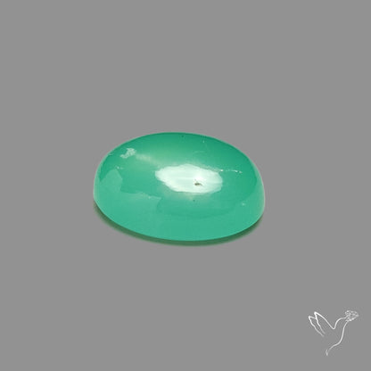 Gemmy Chrysoprase Cabochon