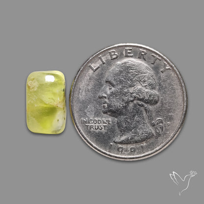 Australian Prehnite Cabochon